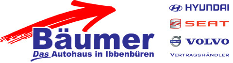 logo_bumer