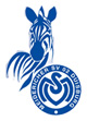 logo_msv